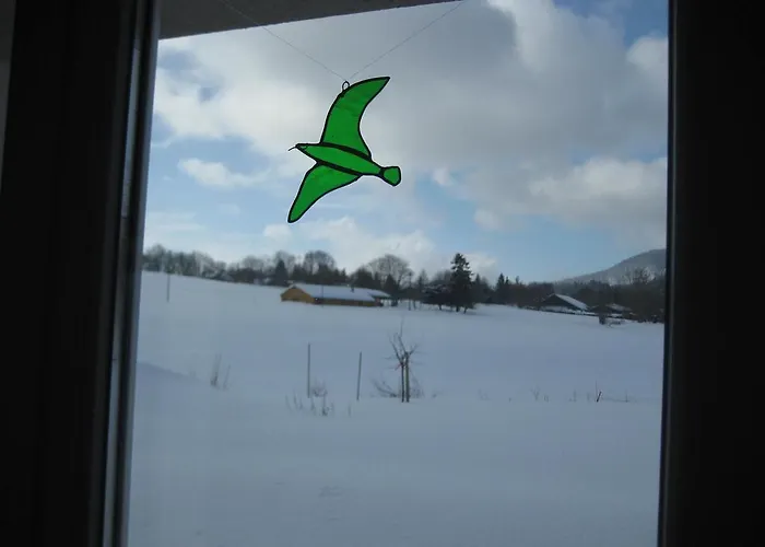 Pensjonat Centre Viayoga Saint-Cergue