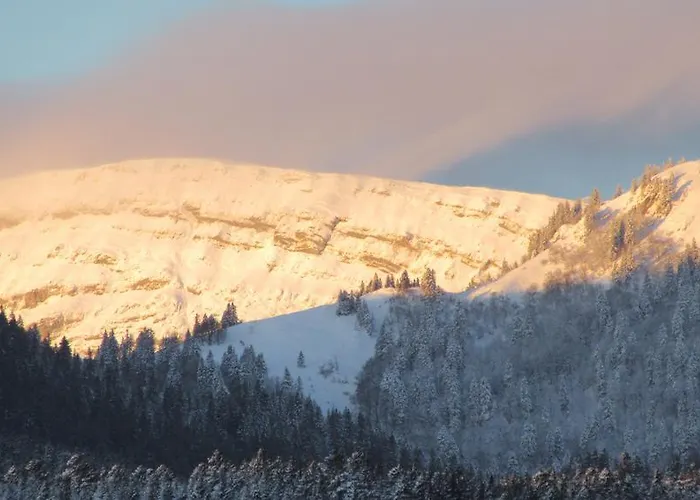 Gasthuis Centre Viayoga 3*